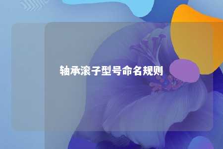 轴承滚子型号命名规则 